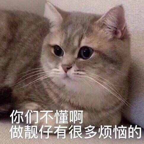 有趣的笑話合集，周末到了，看看笑話開心一下