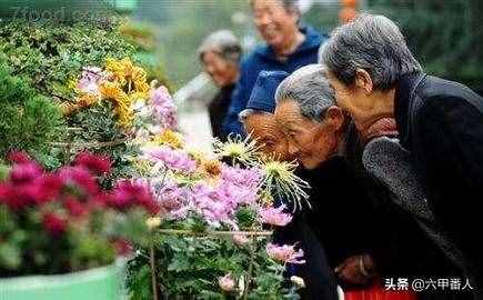 四副重陽(yáng)節(jié)對(duì)聯(lián)，上聯(lián)為舊聯(lián)，下聯(lián)新對(duì)，歡迎高手一起來重對(duì)