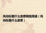 風(fēng)向標(biāo)是什么意思網(wǎng)絡(luò)用語（風(fēng)向標(biāo)是什么意思）