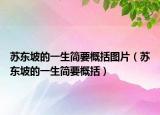 蘇東坡的一生簡要概括圖片（蘇東坡的一生簡要概括）