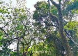 今日更新越秀公園攻略（廣州越秀公園游覽路線推薦）
