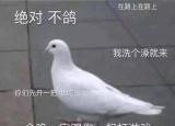 今日更新如何恢復(fù)微信的聊天記錄安卓（如何恢復(fù)微信的聊天）
