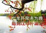 今日更新亡羊補(bǔ)牢告訴我們什么道理（亡羊補(bǔ)牢未為晚）