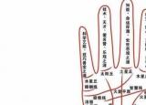 今日更新手相掌紋（掌紋的秘密全圖解的含義介紹）