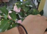 今日更新52彈弓論壇（什么無(wú)架彈弓還分門(mén)派）