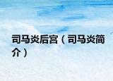 司馬炎后宮（司馬炎簡(jiǎn)介）
