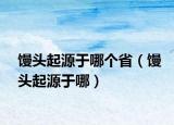饅頭起源于哪個?。z頭起源于哪）