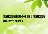 光明磊落是哪個生肖（光明磊落出過什么生肖）