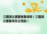 三國(guó)演義里面有魯肅嗎（三國(guó)演義里魯肅怎么死的）