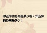 鄧亞萍的身高是多少?。ㄠ噥喥嫉纳砀呤嵌嗌伲? /></span></a>
                        <h2><a href=