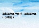 軍長軍銜是什么樣（軍長軍銜是什么級別）