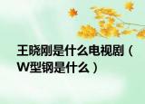 王曉剛是什么電視?。╓型鋼是什么）