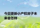 今日更新小產(chǎn)權房子未來會怎樣