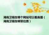 湖南衛(wèi)視在哪個網(wǎng)站可以看直播（湖南衛(wèi)視在哪里位置）