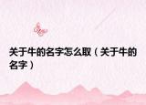 關(guān)于牛的名字怎么?。P(guān)于牛的名字）