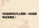 6的倍數(shù)特征怎么理解（6的倍數(shù)特征有哪些）