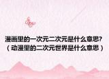 漫畫里的一次元二次元是什么意思?（動漫里的二次元世界是什么意思）