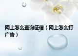 網(wǎng)上怎么查詢征信（網(wǎng)上怎么打廣告）