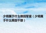 少將屬于什么級(jí)別軍官（少將屬于什么級(jí)別干部）
