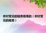 農(nóng)村常見的蛙類有毒的（農(nóng)村常見的蛙類）