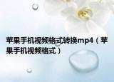 蘋果手機視頻格式轉(zhuǎn)換mp4（蘋果手機視頻格式）