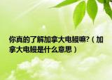 你真的了解加拿大電鰻嘛?（加拿大電鰻是什么意思）