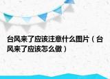 臺風來了應(yīng)該注意什么圖片（臺風來了應(yīng)該怎么做）