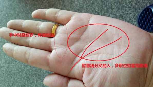 手相：圖文解說，3分鐘教你學(xué)會看手相！