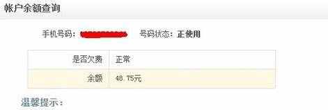 手機(jī)話費(fèi)怎么查詢4