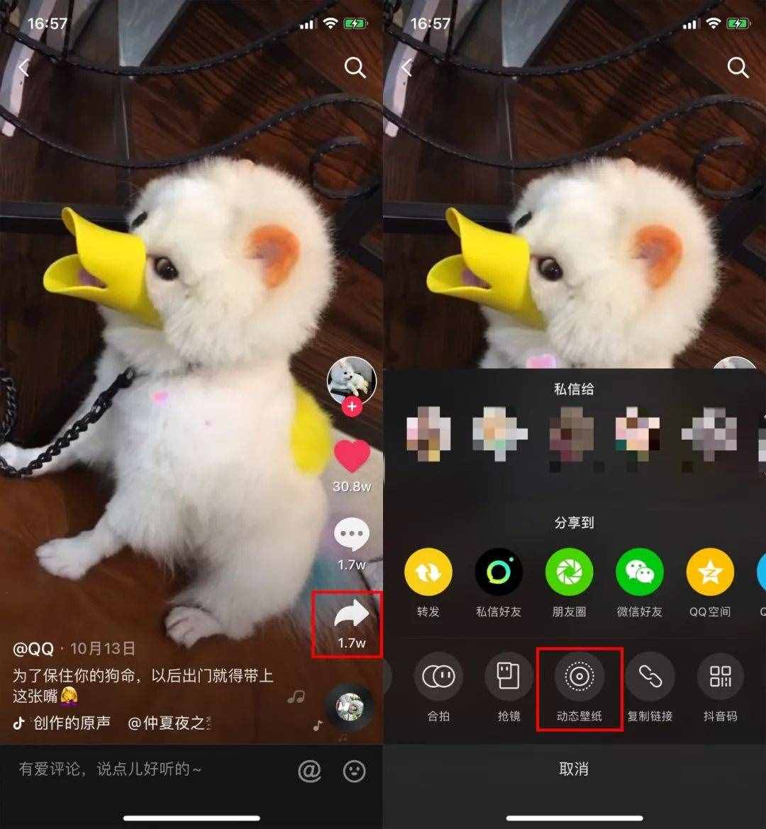 用了這么久蘋果手機(jī)，才知道還可以這樣設(shè)置動(dòng)態(tài)壁紙，漲知識(shí)了