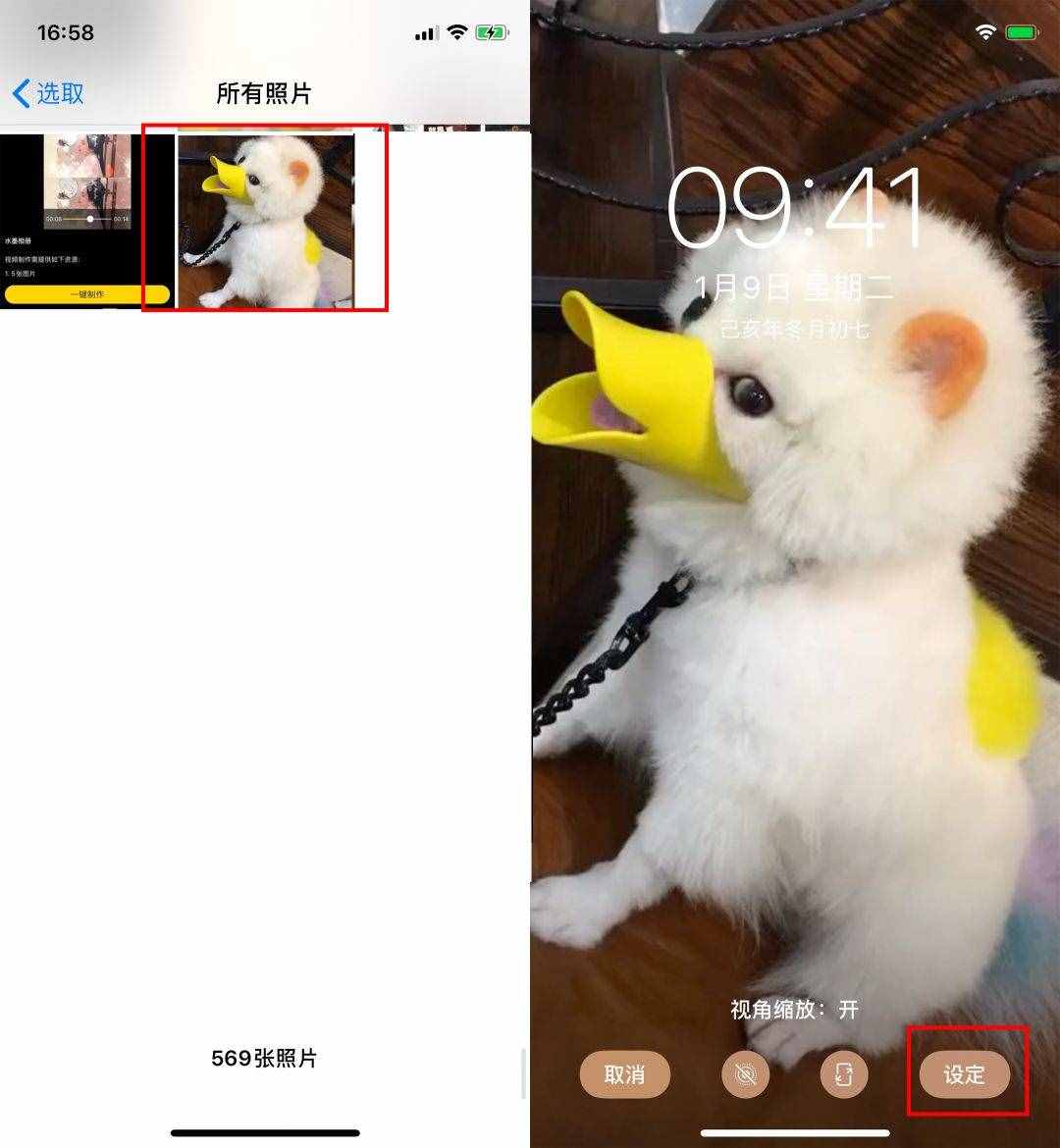 用了這么久蘋果手機(jī)，才知道還可以這樣設(shè)置動(dòng)態(tài)壁紙，漲知識(shí)了