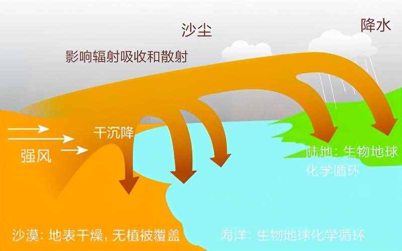 為什么荒漠化需要治理，荒漠卻需要保護(hù)？