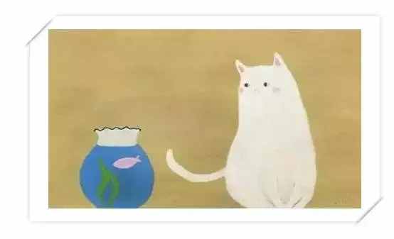 找回安全感，看這一篇就夠了