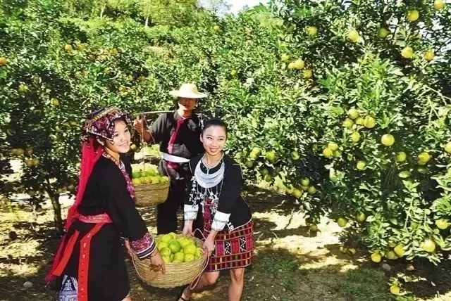 海南19個市縣226個旅游景點(diǎn)大全，假期上哪里玩？隨你挑