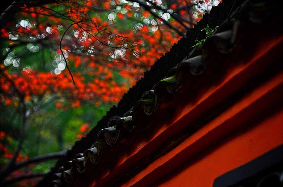 南京為什么被稱為“金陵”，其來源何處？