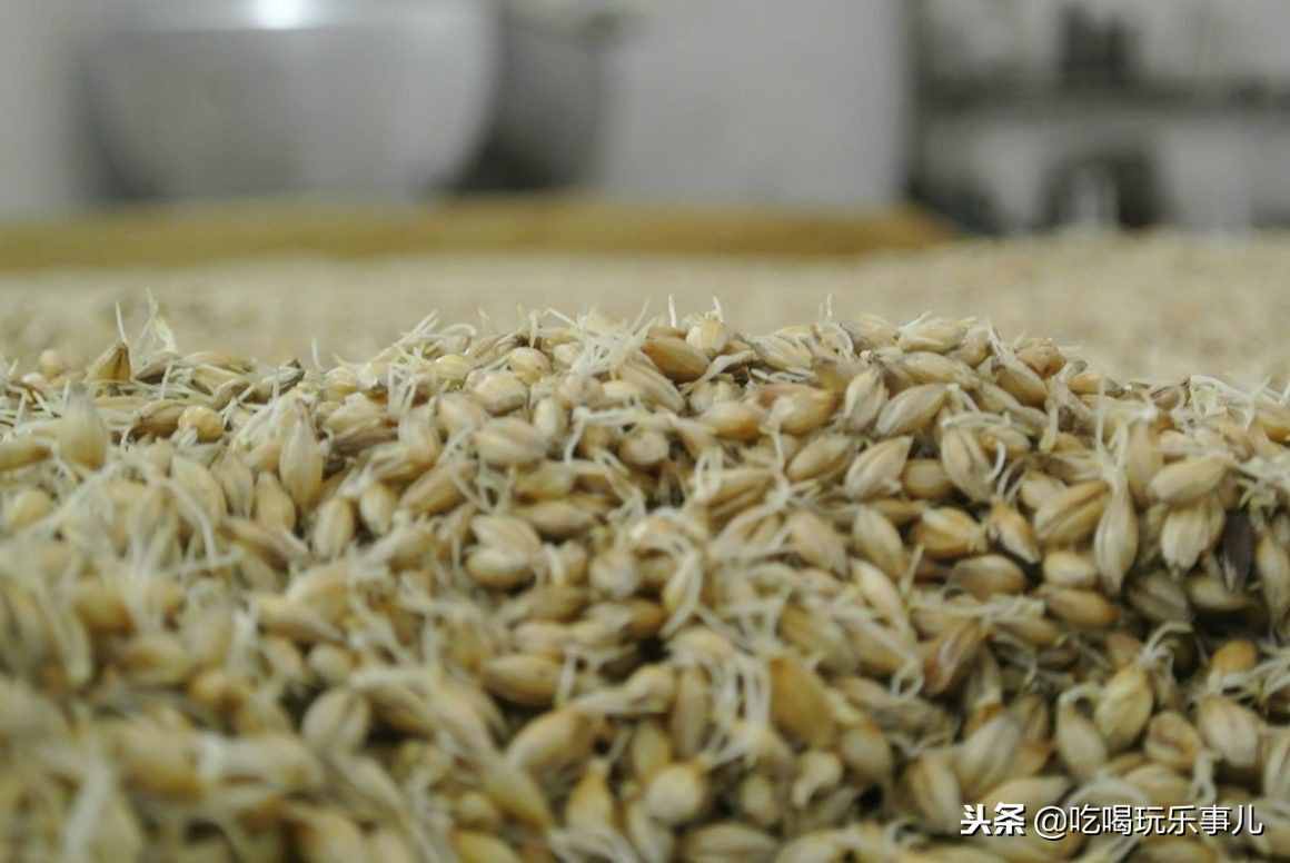 “威士忌是什么酒”，最好的回答在這里！