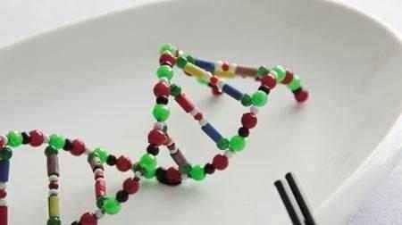 簡述轉(zhuǎn)基因的利弊、你會吃嗎？