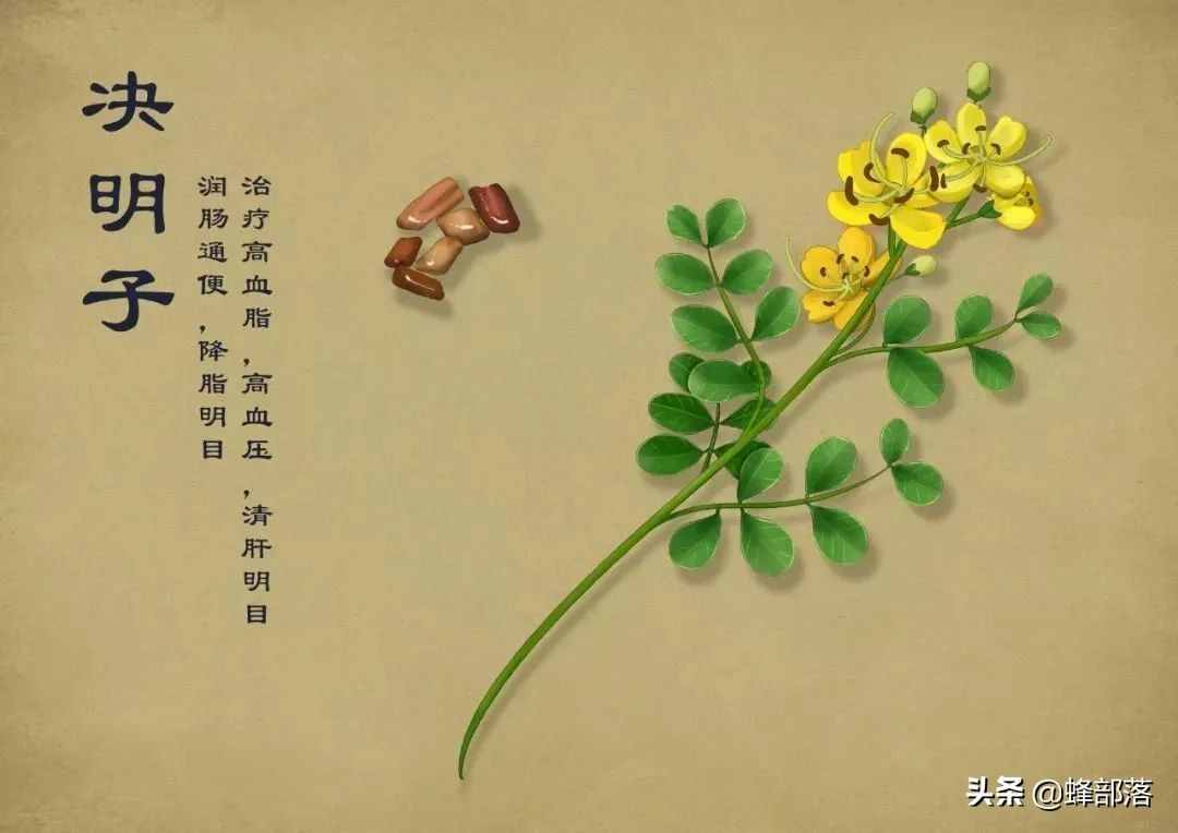 在農(nóng)村，種植項(xiàng)目怎么選？這5種藥材種植產(chǎn)量高，市場(chǎng)廣，值得干