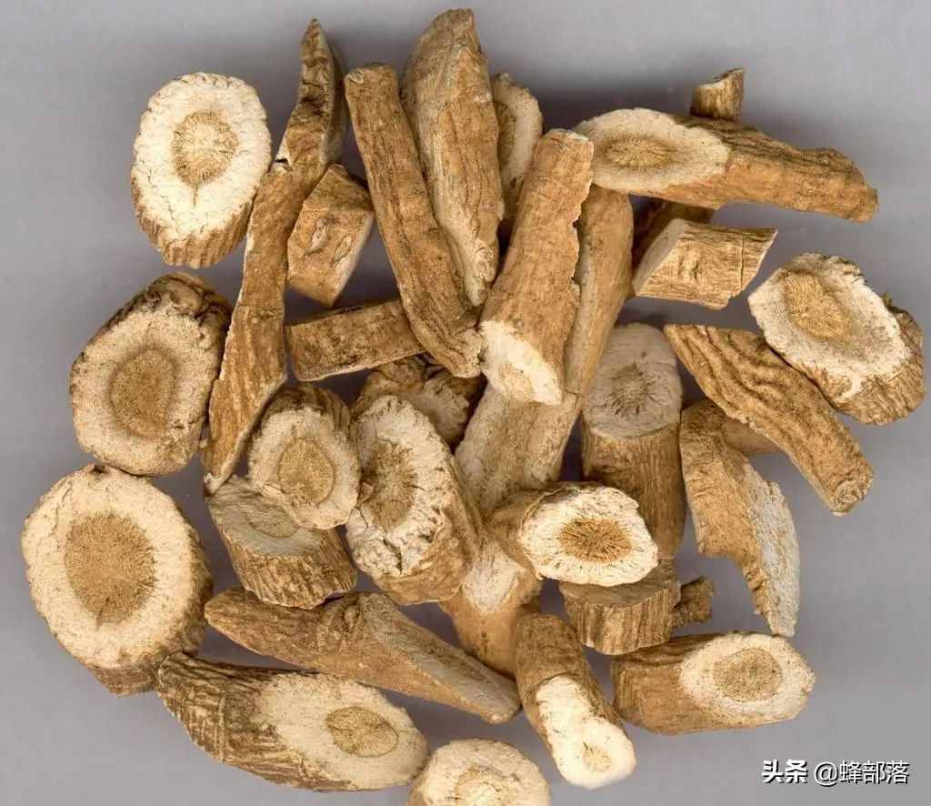 在農(nóng)村，種植項(xiàng)目怎么選？這5種藥材種植產(chǎn)量高，市場(chǎng)廣，值得干