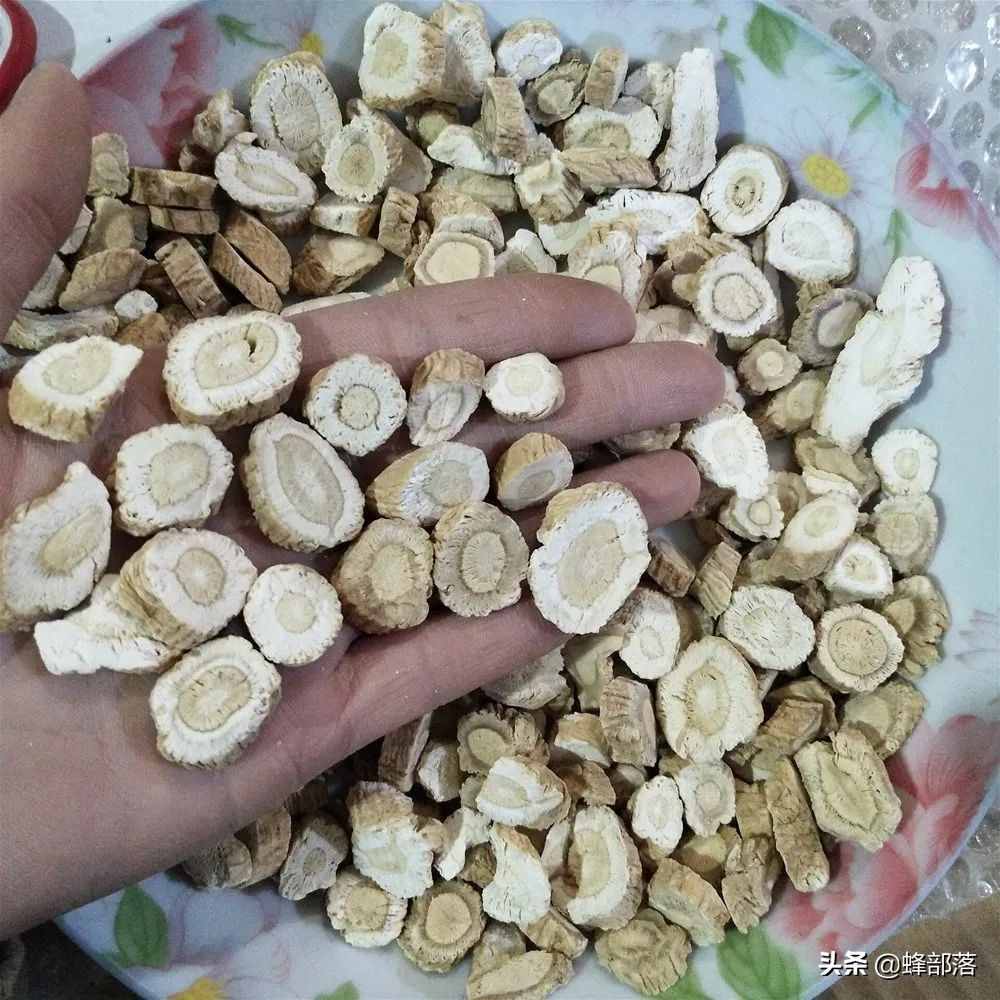 在農(nóng)村，種植項(xiàng)目怎么選？這5種藥材種植產(chǎn)量高，市場(chǎng)廣，值得干