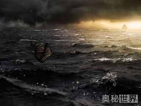 蝴蝶效應(yīng)是什么意思,什么是蝴蝶效應(yīng)