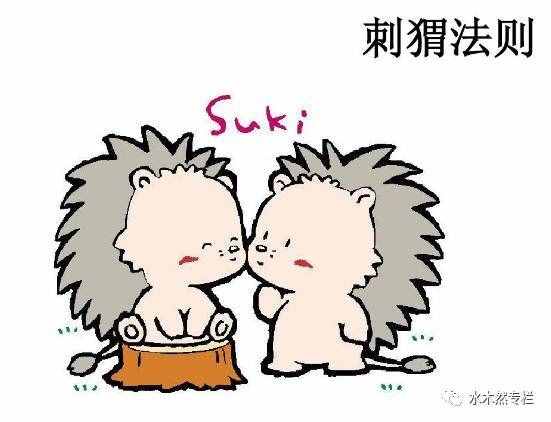 這就是“刺猬法則”！很多人竟還不知道！