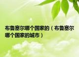 布魯塞爾哪個(gè)國(guó)家的（布魯塞爾哪個(gè)國(guó)家的城市）