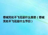 春城無處不飛花是什么意思（春城無處不飛花是什么節(jié)日）
