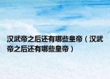 漢武帝之后還有哪些皇帝（漢武帝之后還有哪些皇帝）