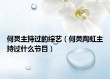 何炅主持過的綜藝（何炅陶虹主持過什么節(jié)目）