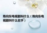 陳向東電視劇叫什么（陳向東電視劇叫什么名字）