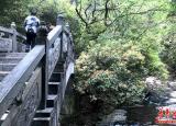 今日更新永州陽(yáng)明山（坐上飛的逛陽(yáng)明山）
