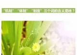 今日更新機(jī)制是什么意思（機(jī)制是什么）