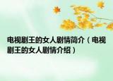 電視劇王的女人劇情簡(jiǎn)介（電視劇王的女人劇情介紹）